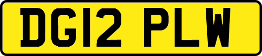 DG12PLW