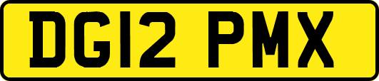 DG12PMX