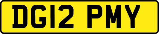 DG12PMY