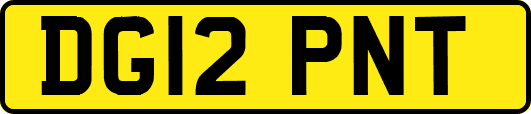 DG12PNT