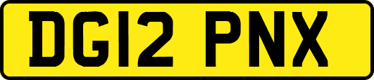 DG12PNX
