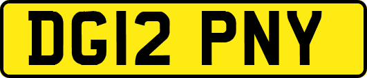 DG12PNY