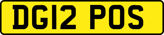 DG12POS
