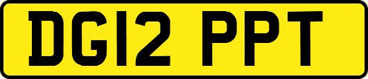 DG12PPT