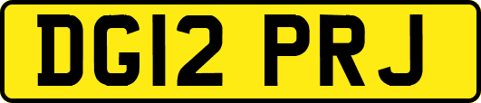 DG12PRJ