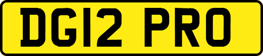 DG12PRO