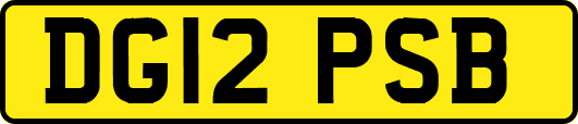 DG12PSB