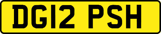DG12PSH