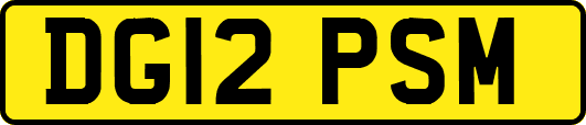 DG12PSM