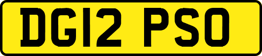 DG12PSO