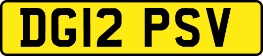 DG12PSV