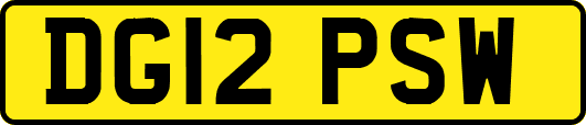 DG12PSW