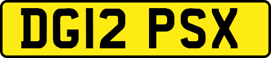 DG12PSX
