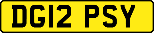 DG12PSY