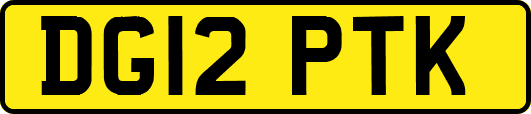 DG12PTK