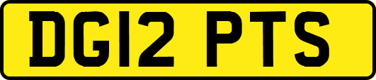 DG12PTS
