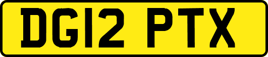 DG12PTX