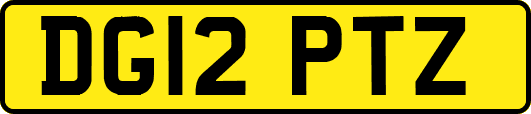 DG12PTZ