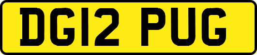 DG12PUG
