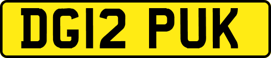 DG12PUK