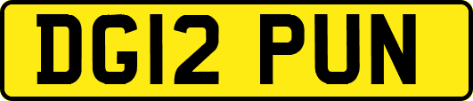 DG12PUN