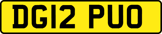 DG12PUO