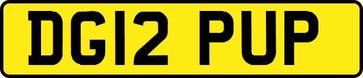 DG12PUP