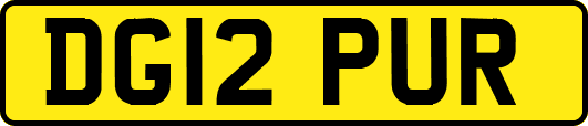 DG12PUR