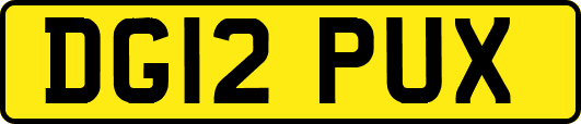 DG12PUX
