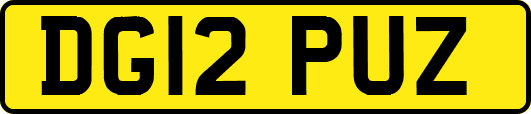 DG12PUZ