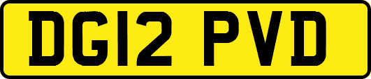 DG12PVD