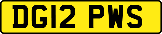 DG12PWS