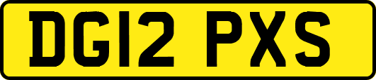 DG12PXS