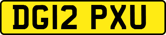 DG12PXU