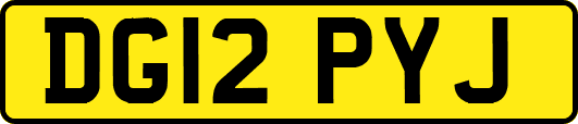 DG12PYJ