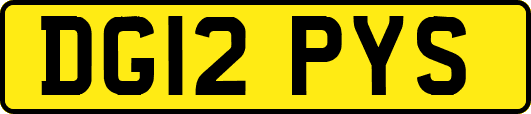 DG12PYS