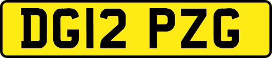 DG12PZG