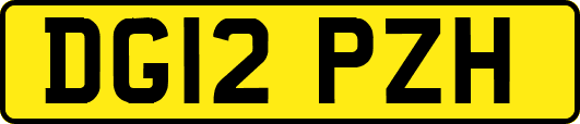 DG12PZH