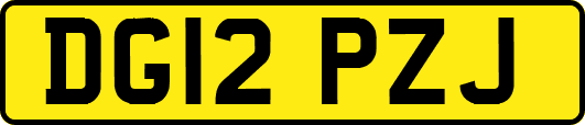 DG12PZJ