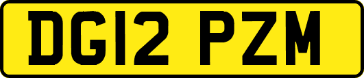 DG12PZM