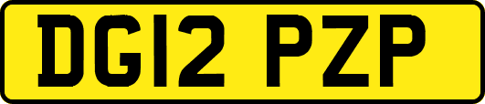 DG12PZP