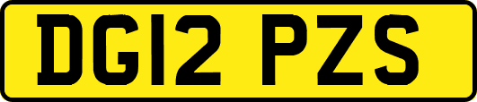 DG12PZS