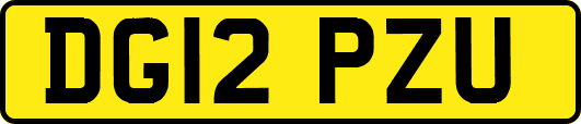 DG12PZU