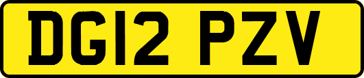 DG12PZV