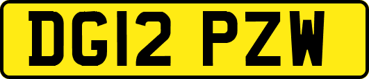 DG12PZW