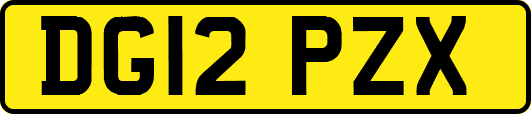 DG12PZX
