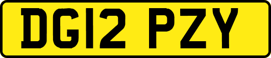 DG12PZY