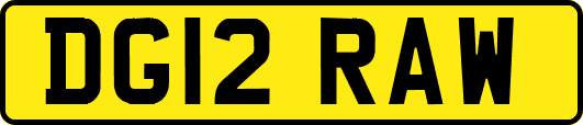 DG12RAW