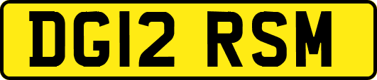 DG12RSM