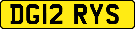 DG12RYS